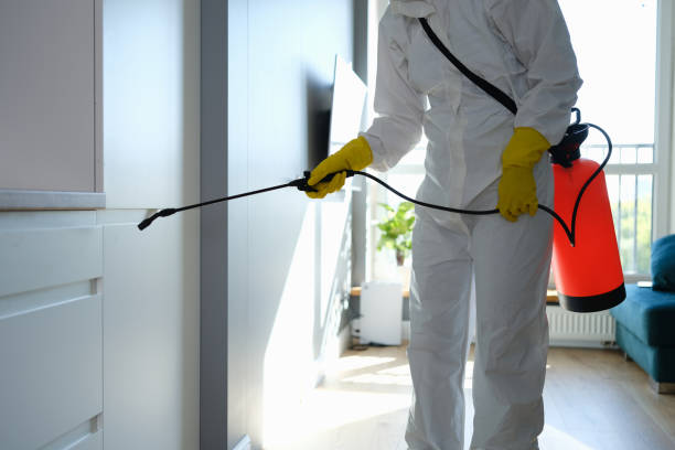Best HVAC Mold Remediation in Oak Hills, CA