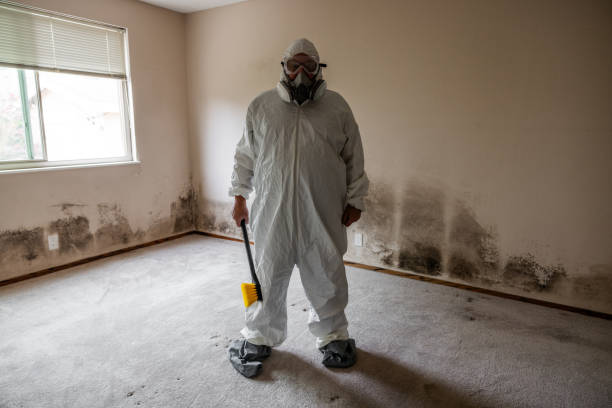 Best Bathroom Mold Remediation in Oak Hills, CA
